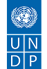 organisers undp