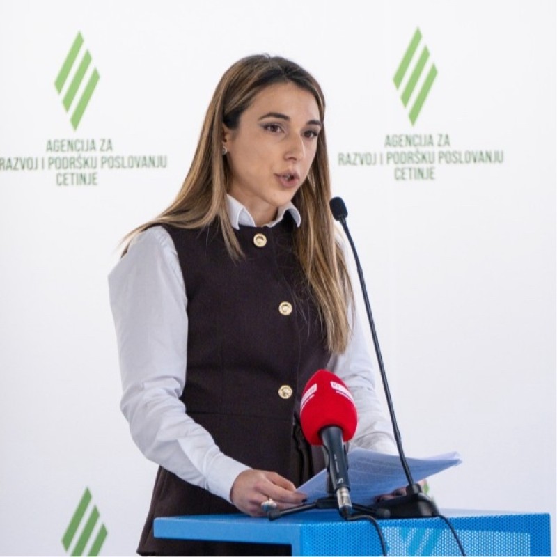 12. Dr Andela Martinovic
